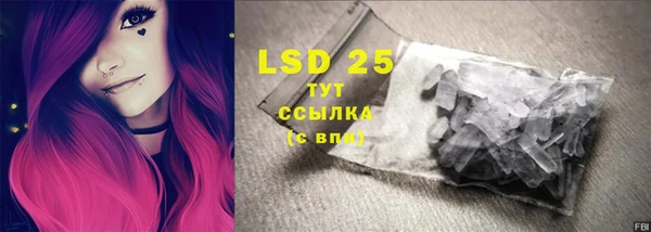 эйфоретик Бородино