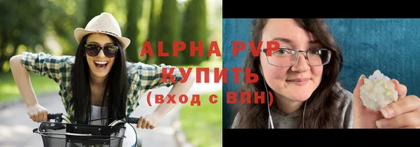 спайс Богданович
