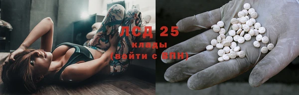 гидра Богородицк