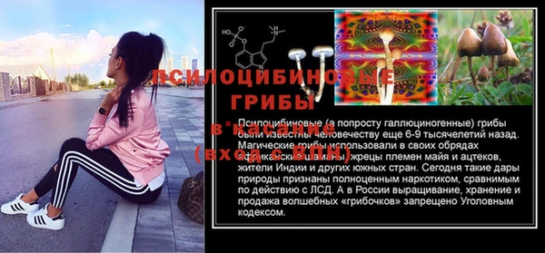 спайс Богданович