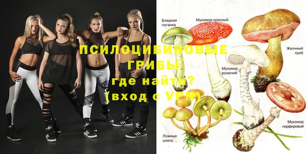 эйфоретик Бородино