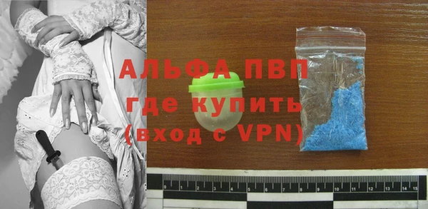 эйфоретик Бородино