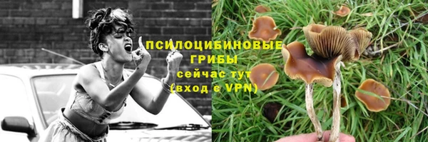 прущий лед Ельня